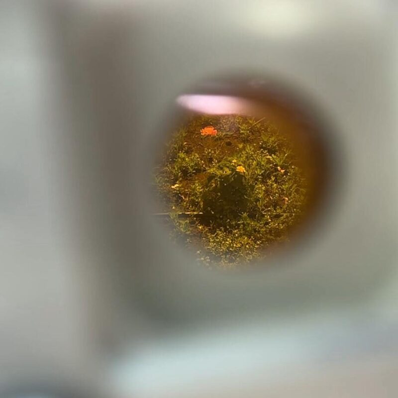 CNR Perovskite