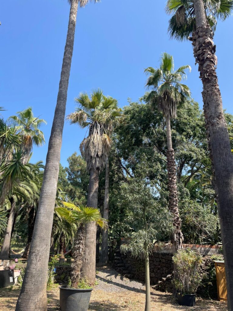 Parco Paternò del Toscano