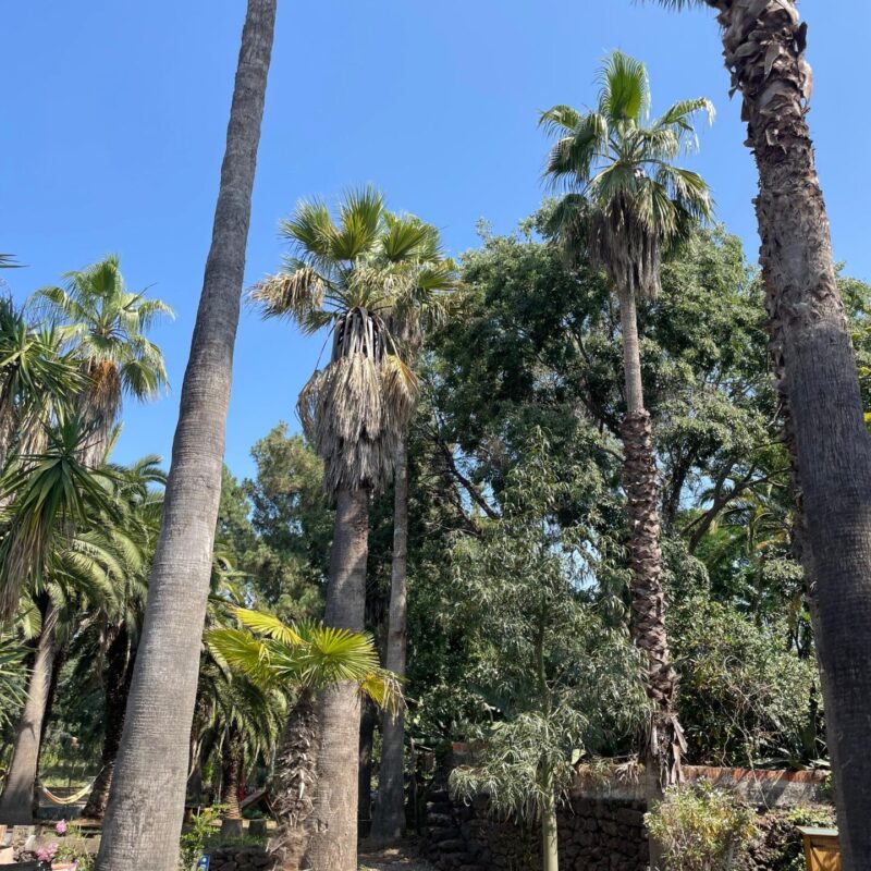 Parco Paternò del Toscano