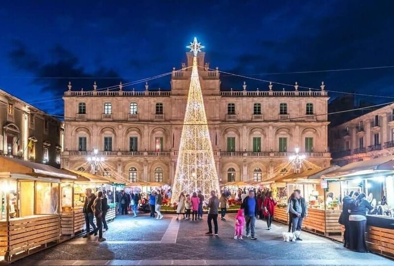 Albero Piazza Università