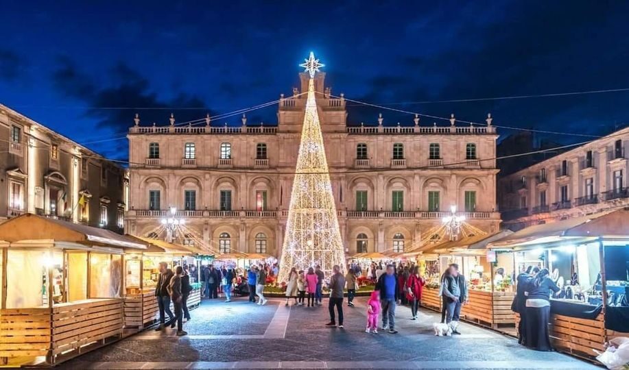 Albero Piazza Università
