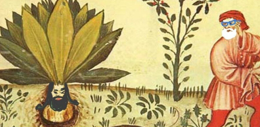 Domenica in Giardino